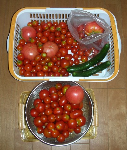f0150629_22555716.jpg