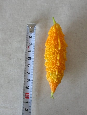 f0150629_2257254.jpg