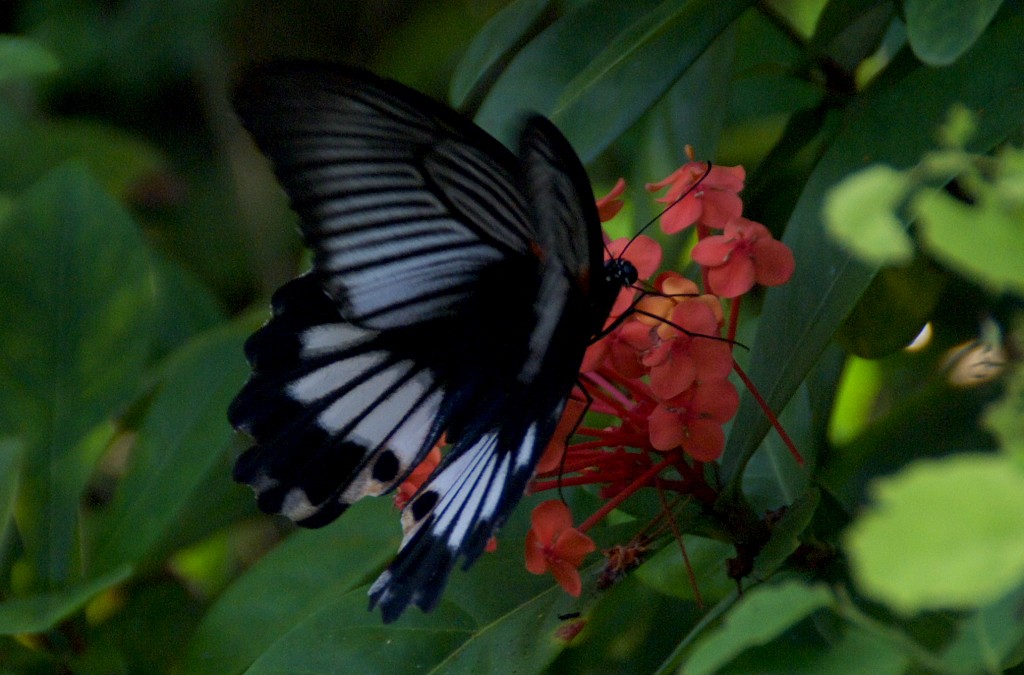d0053930_6563942.jpg