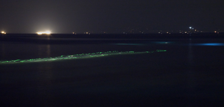 d0147530_523194.jpg
