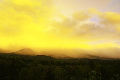 e0025030_1429247.jpg