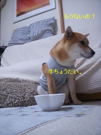 b0158035_10171094.jpg