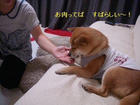 b0158035_10174118.jpg