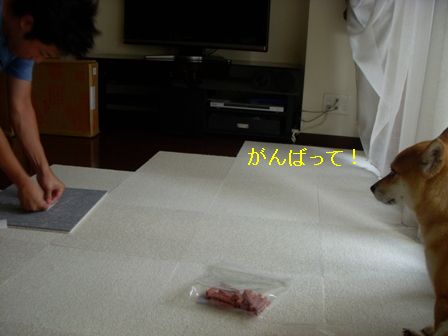 b0158035_1033130.jpg