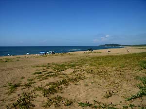 c0019338_8462499.jpg