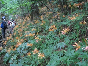 c0077338_2272297.jpg