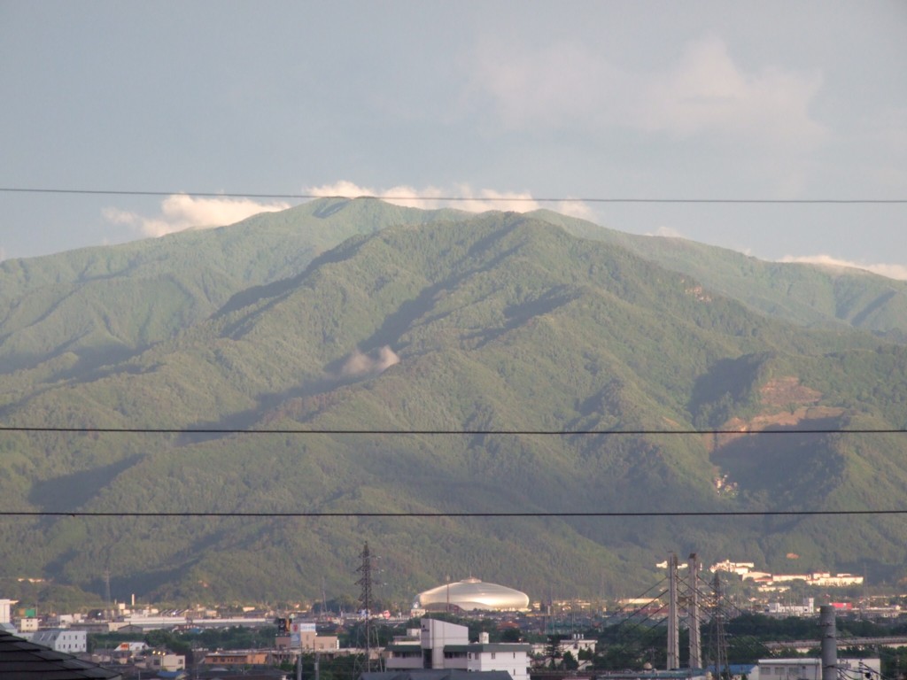 d0117039_1151741.jpg