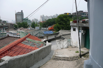 b0088340_2348964.jpg