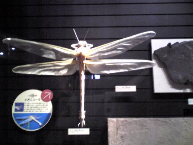 c0125046_2383699.jpg