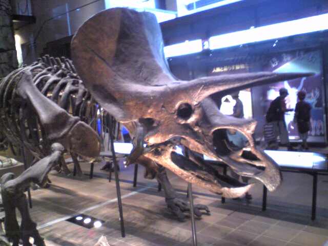 c0125046_2383727.jpg