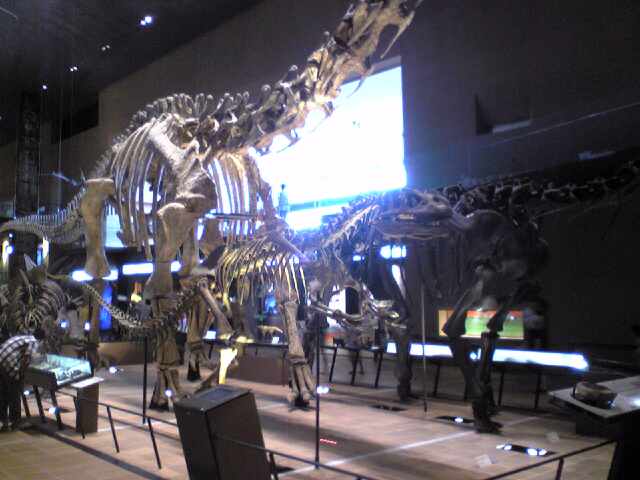 c0125046_2383785.jpg