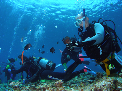 d0065247_1335190.jpg