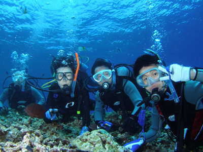 d0065247_1344175.jpg