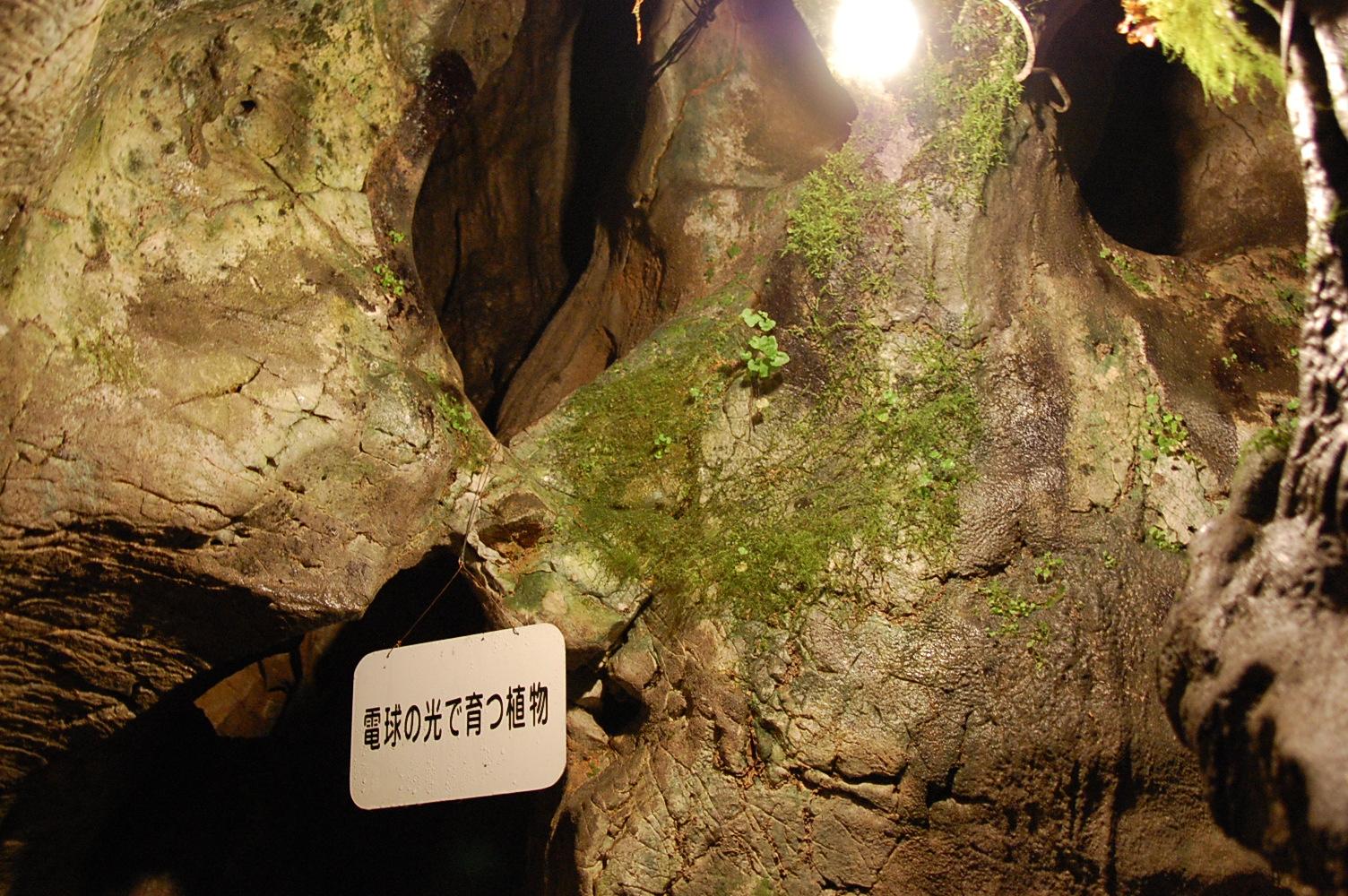 d0117248_22232637.jpg