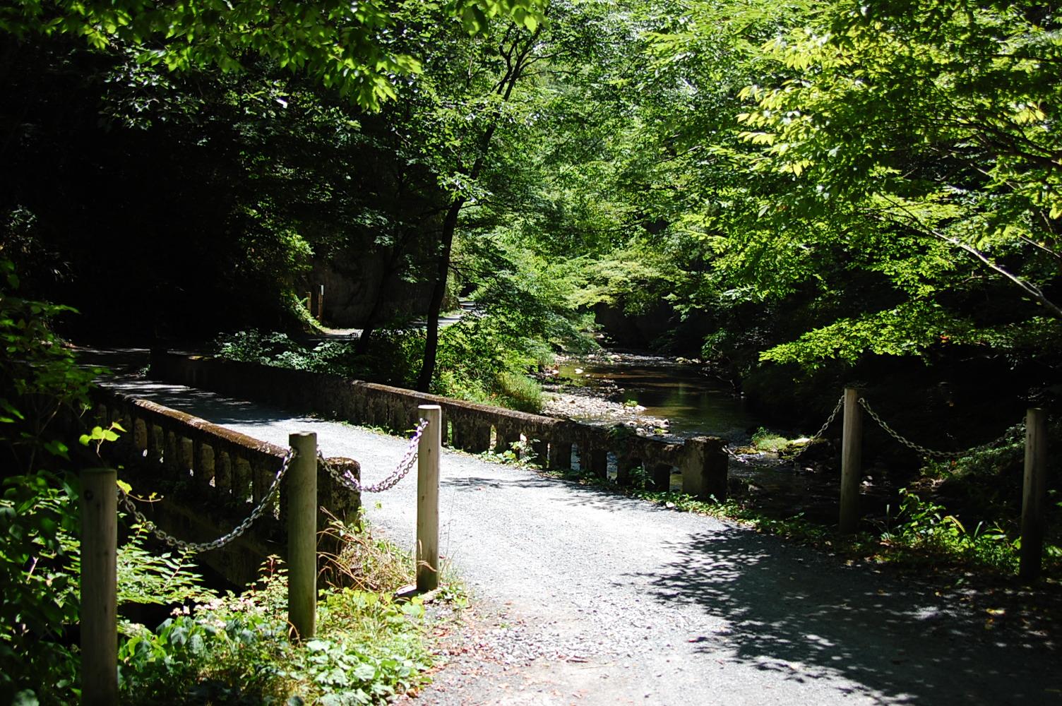 d0117248_2253399.jpg