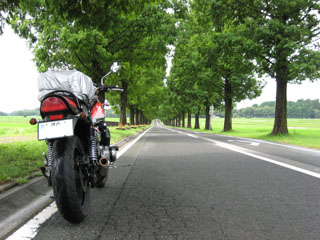 a0052952_2185920.jpg
