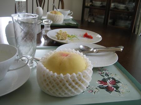 a0075455_748331.jpg
