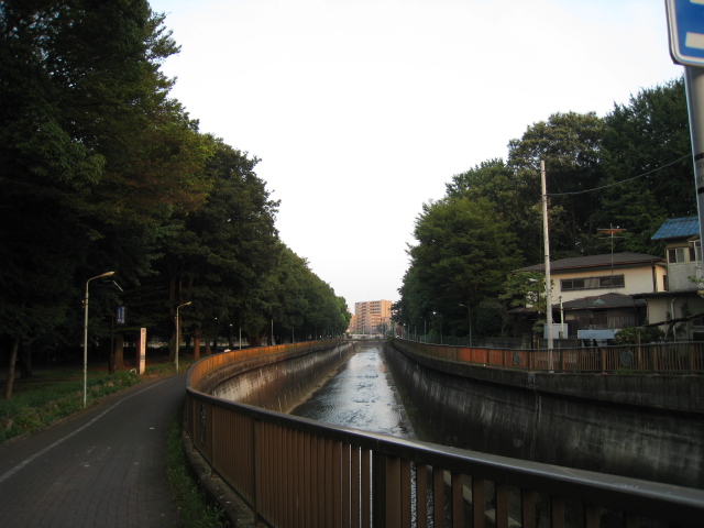 d0141457_19455735.jpg