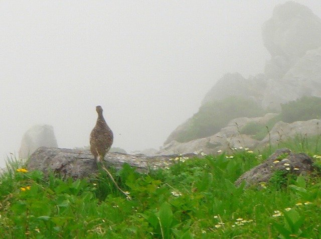 c0119160_10255868.jpg