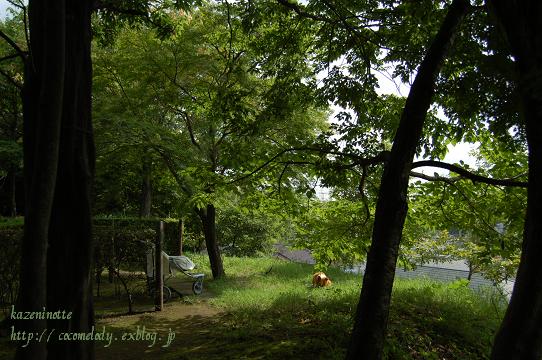 c0149160_21215183.jpg