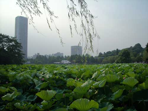e0097770_1632645.jpg