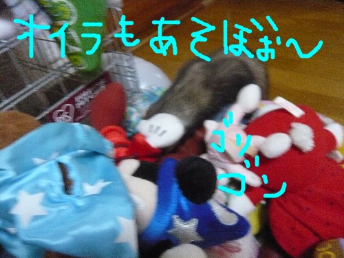 c0165472_17235017.jpg