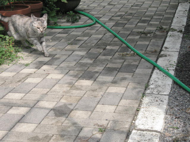 d0070473_15465096.jpg
