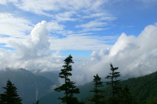 f0054075_729472.jpg