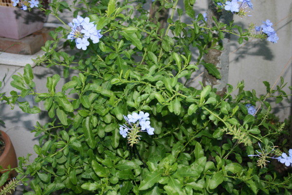 e0114977_22135455.jpg