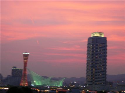 f0001378_9541635.jpg