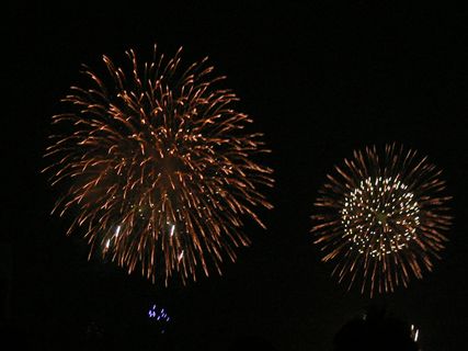 f0001378_9552864.jpg