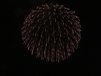 f0001378_956354.jpg