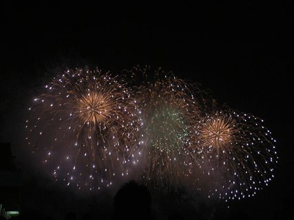 f0001378_9564793.jpg