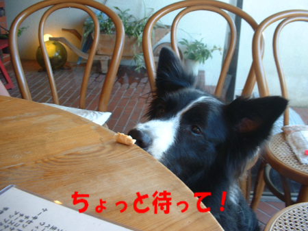 c0120585_21173336.jpg