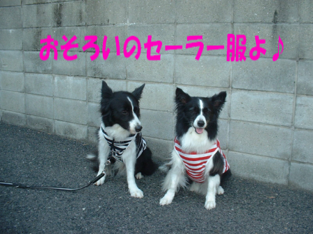 c0120585_21185587.jpg