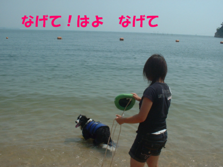 c0120585_2134715.jpg