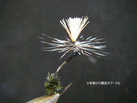 c0136486_11531358.jpg
