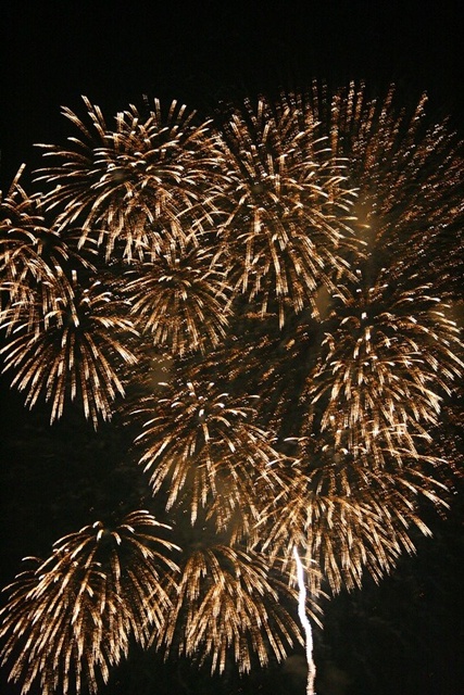 b0128787_242376.jpg