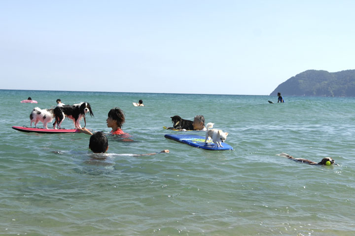 f0112087_21505612.jpg