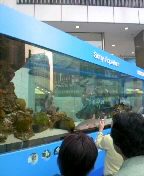 c0072589_144592.jpg