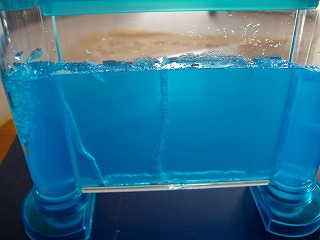 c0107997_0155237.jpg