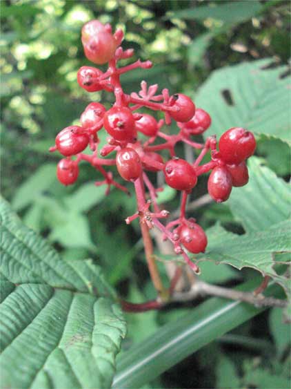 a0061599_842890.jpg