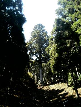 e0077899_851940.jpg