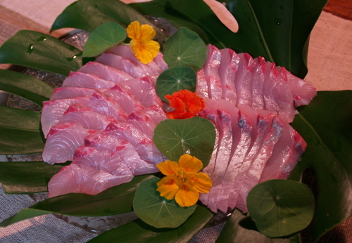 e0089001_2153611.jpg