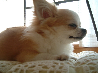 a0079803_0253412.jpg