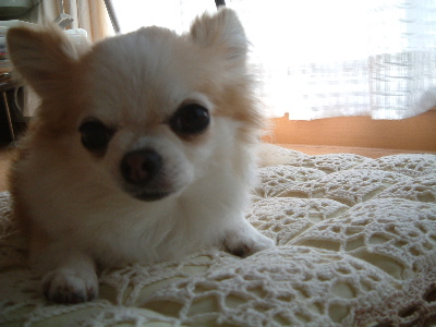 a0079803_0265246.jpg