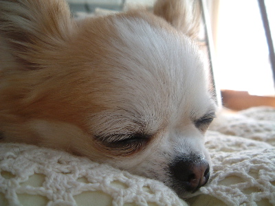 a0079803_0272259.jpg