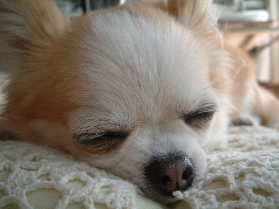 a0079803_0284259.jpg