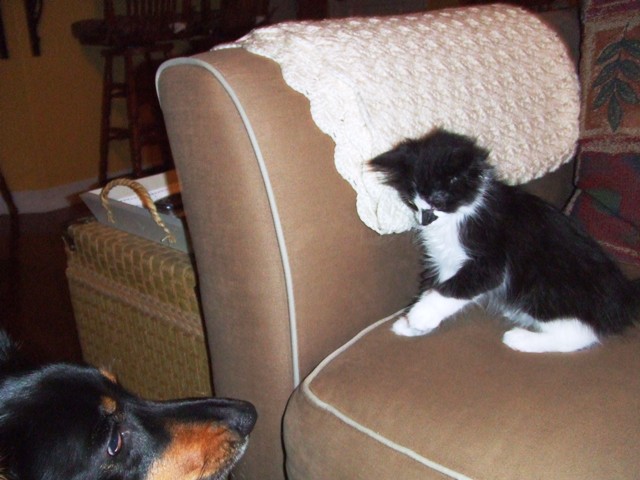 c0062603_1522780.jpg