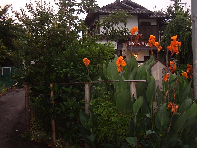 f0173908_10224669.jpg